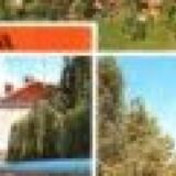 1130_thumb-1349×400