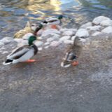 20170311_163842