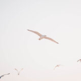 ibrahim-rifath-777344-unsplash