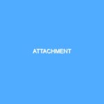 Attachment 3