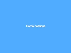 Homo noeticus 6