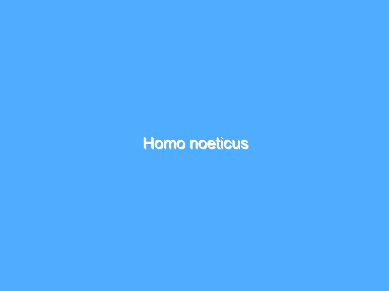 Homo noeticus