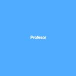 Profesor 2