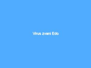 Virus zvani Edo 6